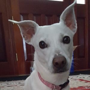 Meet your Posher, Gail